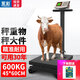 Yongcai weighing electronic scale commercial wheel scale household floor-standing large platform scale hand push roller precision electronic scale foldable electronic pig scale industrial logistics floor scale 600 kg extra thick thick bracket 45*60 table wheel scale