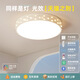 卧室灯2025年新款led吸顶灯房间灯网红主卧室灯现代简约灯具 1W 麻花光源-全光谱水晶6628白50