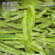 寻西湖龙井茶 茶叶绿茶 2025新茶特级明前头采嫩芽中秋臻品传统纸包250g