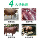 Shanye Ying 1 Meier cattle and sheep feed additives for fattening, beef cattle fattening, growth-promoting fertilizer premix, increased scale cattle farm 10 bags and boxes 10 boxes available for inquiry