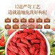 Ausgewählte Ningxia Special Red Wolfberry ohne geräucherte Schwefel und ohne Färben und ohne Wäsche und nahrhafte Gesundheit rotes Wolfbeertee-Tee in Konserven, Nichtraucher Schwefel Speziales hochgradiges Ningxia Red Wolfberry [250 Gramm]