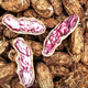 Candied Fruit Peanut Seeds Colorful Peanut Seeds Shelled Fresh Peanut Seeds Colorful Peanut Seeds Candied Fruit Peanut Seeds 1Jin Jin is equal to 0.5kg Selected Shelled
