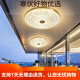 
Heart mirror full copper outdoor ceiling light villa entrance door ceiling light simple aisle terrace balcony lamp waterproof courtyard X3895-400/round shape