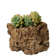 Fine small water stone bonsai rockery absorbent stone micro landscape decoration strange stone ornaments natural original about 17-22cm plus grass seeds and stones