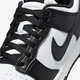 耐克（NIKE）Dunk Low Retro 男子运动鞋 HF5441-100 41