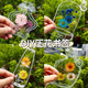 Qiaoxinshi leaf specimen plastic sealing film 20 pieces of handmade diy material dried flower bookmarks autumn ginkgo leaves transparent leaf plants