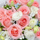 HuaDe flower express delivery rose bouquet birthday gift for girlfriend nationwide same-day delivery Dream Elf | JD583