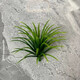 Simulated flower plant new medium pineapple flower plant potted green plant indoor plastic fake flower living room wall hanging decoration grass green (length about 5.5cm) 50 pcs
