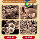 Peking Tongrentang Tongrentang Blue Hat Zertifizierung Bruch Wand Ganoderma Sporenpulver Erwachsener mittlerer Alters und ältere Ganoderma Powder 1 Box 40 g [Geschenkbox [3 Kisten] Gesamt 120 g [Breaking Wall Spore Pulver
