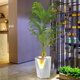 Nordic flow water and wealth fountain ornaments circulating water office living room TV cabinet next to floor bonsai humidifier 9928A water bonsai height 49CM