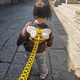 Nais Brothers Anti-lost Artifact Children's Walking Ropes to Prevent Lost and Lost Baby and Child Safety Bracelet Little Bee [Upgrade Backpack + 1.5-meter Bracelet] [Safety Protection, Go out with confidence]