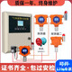 RSRDDY industrial carbon monoxide concentration detector CO catering commercial leakage real-time monitoring fixed detector one host 3 probes