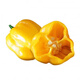 Hainan yellow lantern seeds Chaotian pepper peppers are very spicy, very spicy, special potted plants of death, yellow lanterns, yellow devil peppers, 98% germination rate, lazy people must plant them, 1 pack 198