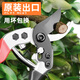 JCZS Japanese original scissors pruning shears gardening scissors sk5 special scissors for pruning flowers and branches fruit tree thick branch scissors SK5 steel maintenance oil set