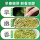 Lepin Le Tee Authentic Longjing Tee Green Tee, Bohnengeschmack Mingqian Spring Tee, trinken Sie ihn in Masse [100 g*2 Dosen]