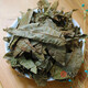 Beijing Tongrentang Zhangjiajie Qingqian Liuyuan Leaf Tea Centennial Tree Gold Liuyuan Leaf Health Tea Qingqian Liuyuan Leaf Tea 500g
