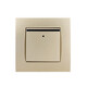 ABB switch socket panel steel frame is made of Yipiao Gold one-open two-open light three-hole 16A household package two-open single control AU10253-PG