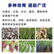 Agricultural potassium chloride Russian high-efficiency high-potassium flower instant fruit tree fertilizer vegetable general red potassium fertilizer original package express to towns