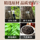 协和京品【官方旗舰】青钱柳茶特级野生古树嫩芽无糖养生茶金钱柳青钱柳 五盒装