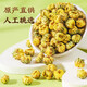 茗愿胎菊菊花茶60g无熏硫桐乡杭白菊花蕾干枸杞金银花泡水喝养生凉茶