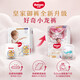 Curious little dragon pants baby little milk dragon diapers Kirin pants Little dragon pants Pulling pants XL64 pieces
