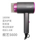 Ship Art S600 Blue Light Hair Blowing Negative Ion Hair Dryer Hair Care Drum Household Hair Salon High Power 2300W Ship Art 9716 (2200W)