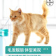 Dazzling Cat Food Adult Cats and Kittens Full Price General Cat Food British Shorthair Blue Cat Ragdoll Natural Food Fattening Hair and Gills 20 Jin Jin equals 0.5 kg 12 Grain-free freeze-dried three-part cat food 12 Jin Jin equals 0.5 kg (4 bags*3)