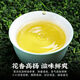 The Ming Dynasty Piaoxue Tie Guanyin Special Class 2025 [6A] Autumn Tea New Authentic Tie Guanyin High Mountain Oolong Tea Strong Flavored Tea Strong Flavored Tie Guanyin 250g [Can]