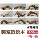 Lizard de león con múltiples mascotas sube 30-80 cm Guardias de reptiles de madera para evitar ramas de rana de árboles decorativas paisajismo H1047 Calidad