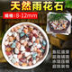 Runhua New Year's five-color small stone hydroponic tulip bottom flower cultivation stone succulent paving stone five-flower stone 8-12mm 1 Jin Jin is equal to 0.5 kg
