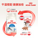 Royal Indoor Cat Food I27 General Foods Over December 400g