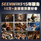 圣维斯SEENWINS1715圣维斯sw100手工小提琴官方初学者成人儿童专业级 LIGHT（亮色工艺） 4/4身高150CM以上及成人