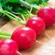 Collected by 20,000 people Four seasons cherry radish and fruit radish, eaten raw, red-skinned, white-fleshed radish, crispy, sweet and juicy Four seasons cherry radish and fruit radish (newly planted this year) Selected 1 pack (about 300 pieces)
