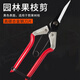 Robin Hood (RUBICON) branch pruning scissors, professional fruit tree pruning scissors, garden pruning shears, gardening shears, large scissors RPS-807