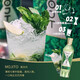 莫其托MOJT大师【周杰伦代言】莫吉托鸡尾酒微醺基酒伏特加朗姆酒 长岛冰茶-47%（200ml）*1瓶