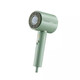 Flyco/Hair dryer for household high power high-speed dry negative ion hair care dormitory for students FH6310 Flyco FH6296 (light green) 1800W