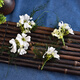 
Biyun Super Fairy Beauty Bride Wenzhu Green Grass Styling Flower Headdress Forest Hairpins Simple and Atmospheric Wedding Fresh Accessories Forest Three-piece Set
