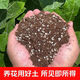 Nutrient soil, universal plant cultivation, flower cultivation, succulent green radish seedling cultivation, flower fertilizer soil, organic soil for flowers, 10Jin Jin is equal to 0.5kg, packed with nutrient soil