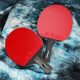 CNSTT KESTIN TABELLE TENNIS RACKET Control Blade Warrior 6629 Handstift, horizontales Klatschen, Handstift, Kurzgriff, gute Lieferung und Zubehör, Direktklatschen