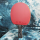 CNSTT KESTIN TABELLE TENNIS RACKET Control Blade Warrior 6629 Handstift, horizontales Klatschen, Handstift, Kurzgriff, gute Lieferung und Zubehör, Direktklatschen