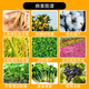 Sanliu 75% gibberellic acid gibberellin seed soaking, germination, seedlings, agricultural materials, plant growth regulator 10g