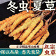 Luzhangtang Tibetan Qu Premium Cordyceps 1 gram Pack of Broken Cordyceps Broken Grass Cordyceps Cooking 1 gram Pack of Cordyceps Cooking 1 gram Pack of Nagqu, Tibet High-altitude Wild (Whole Cordyceps) 1 gram Pack of 4 pieces per gram