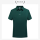 Huicai Hemd Elastic Ice Seide Polo Hemd Arbeit Kleidung benutzerdefinierte Sommer Revers kurzärmelige Enterprise Company Angestellte Wear T-Shirt-Drucklogo [Ice Seide Anti-Falten] DC-677 T-Shirt kurzärmelig dunkelgrün 3XL