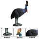 Simulación Oenux Modelo de animales Toys Bird Birds Owl Eagle Parrot Pavo Pavo avalde