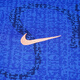 Nike Nike French Football Warm-up Training Ruhestand kurzärmelige Fußballuniform FZ9710-438 Ein Lagerhaus FZ9710-438 S