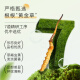东阳光冬虫夏草3-4根/g10根滋补礼盒冬虫草营养品补品送长辈端午节礼物
