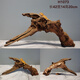 Lizard de león con múltiples mascotas sube 30-80 cm Guardias de reptiles de madera para evitar ramas de rana de árboles decorativas paisajismo H1047 Calidad