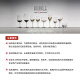 醴铎RIEDEL 红领结勃艮第酒杯 进口手工酒杯1050ml 单支装 送礼佳品
