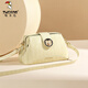 Holzspecker (Tucano) Bag Damen 2025 Neues High-End-Luxus-Luxus-Boston-Kissenbeutel vielseitige Handtasche Single Schulter-Cross-Body-Tasche