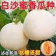 Qizhe Super Sweet White Sugar Melon Seed Super Sweet Early Melon Ripe Seed White Honey Melon Can High Yield Sweet Sugar Melon Seed Fruit All Seasons White Sugar Melon Seeds 2 Packs 100 Tablets Seasonal
